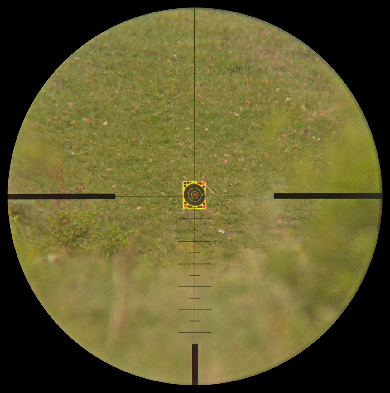 Picture1.jpg