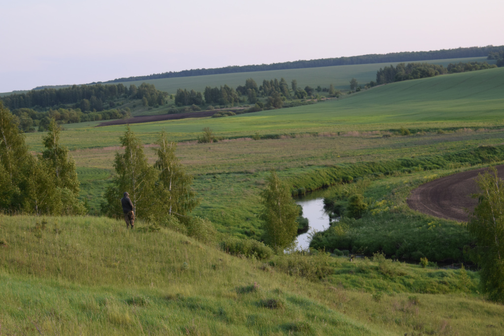 DSC_0448 3.JPG