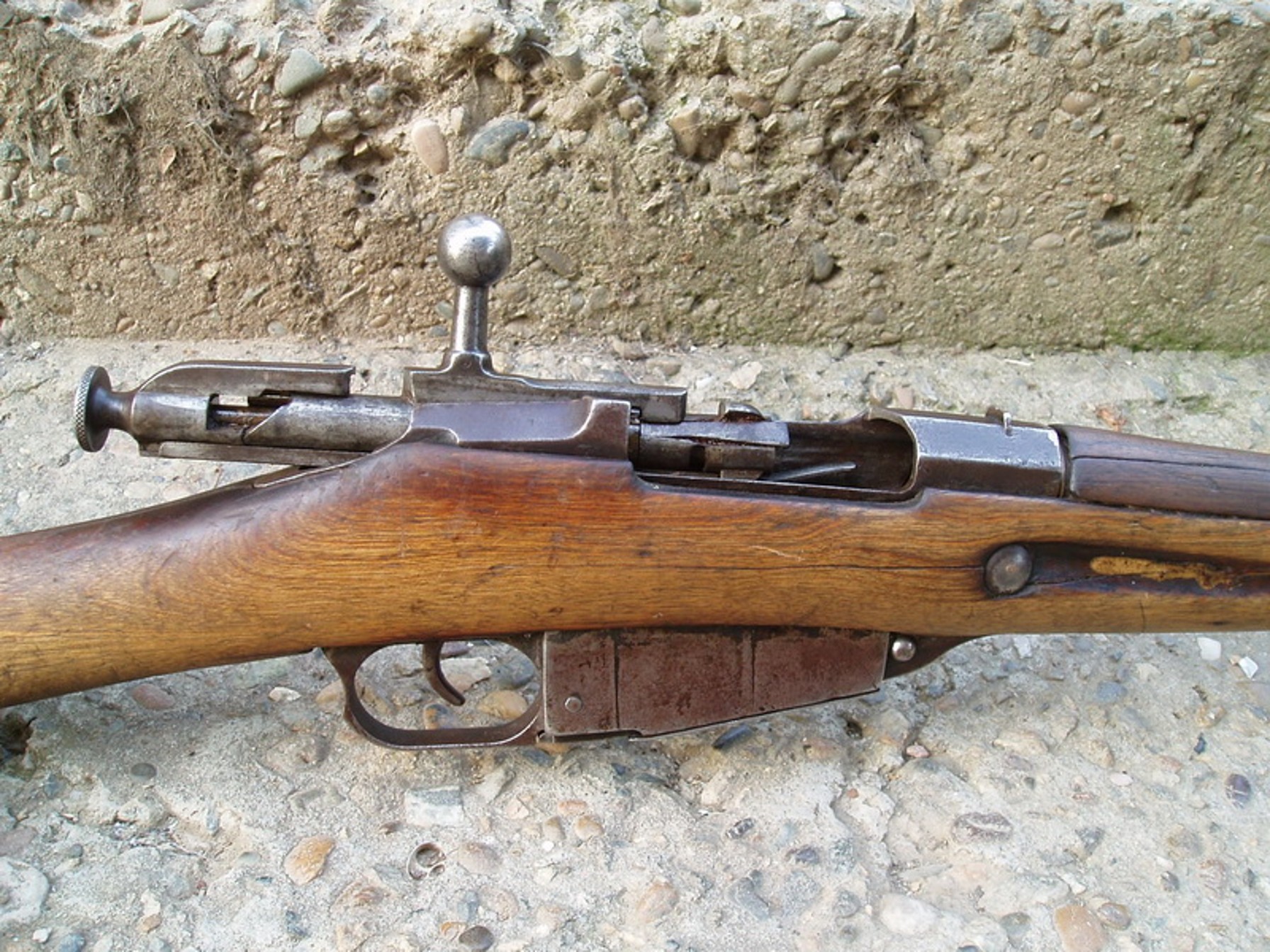 Picture3.jpg