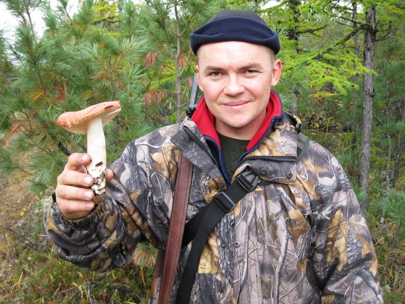 Picture1.jpg