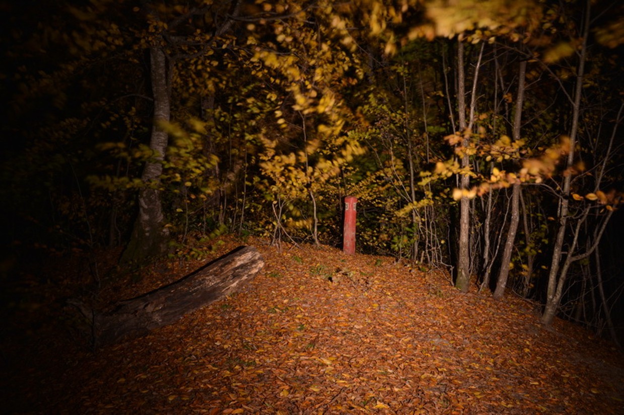 Picture2.jpg
