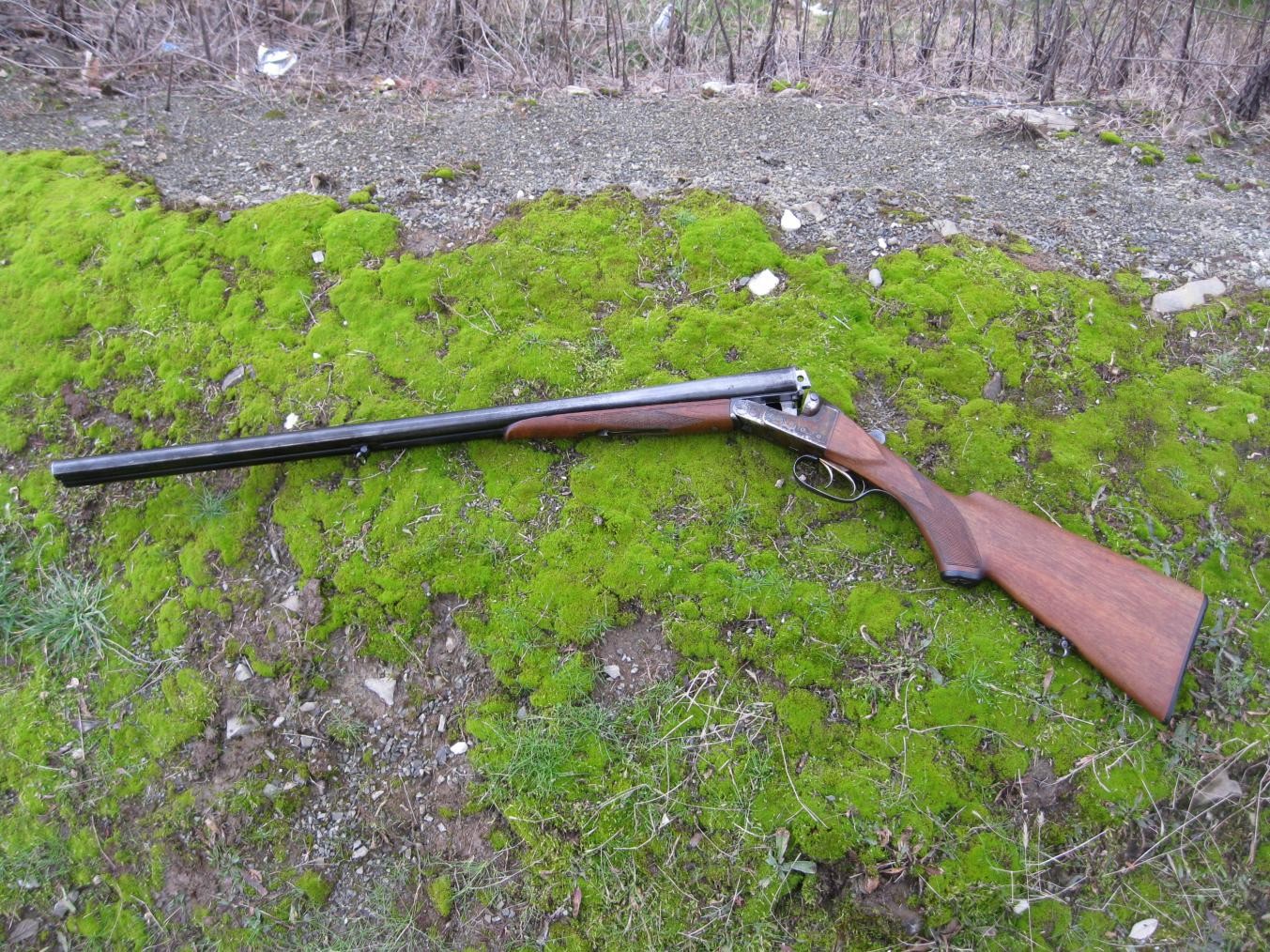 Picture3.jpg